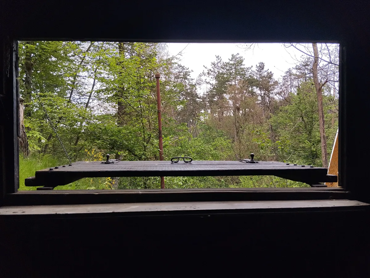 Fotka 16 z 23